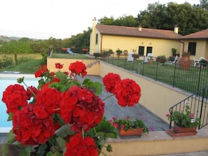 Property grounds - Wohnung La Spiga mit Garten und Terrasse by Interhome (Castelfalfi)