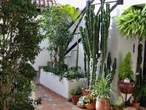 Property grounds - Apartment Nr. 7 by Interhome (Icod de los Vinos)