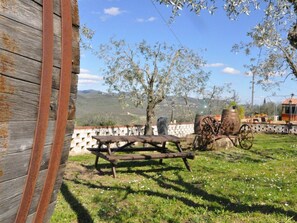 Outdoor dining - Schloss Selvole B2 by Interhome (Castelnuovo Berardenga)