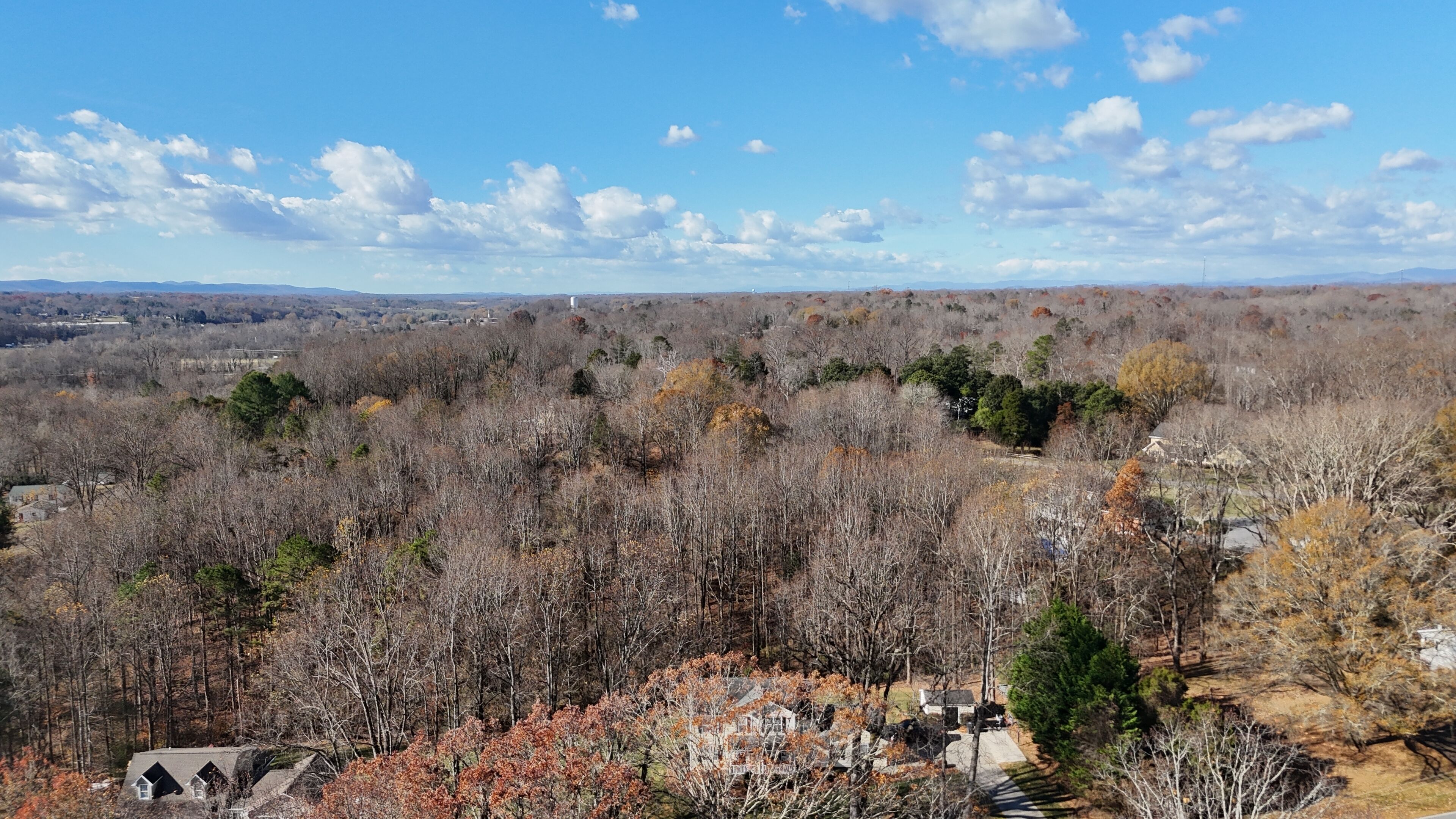 Un quartier résidentiel où les maisons sont entourées d’arbres denses et où le ciel est dégagé.