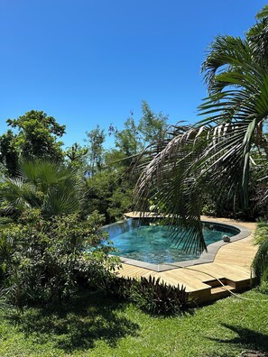 Pool - Among the palm trees! Close to Gillot airport (Saint-Denis)