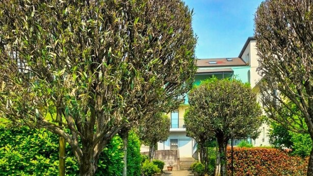 Property grounds - Lago Maggiore Gärten Wohnung by Interhome (Verbania)