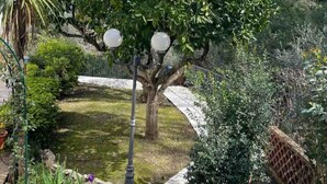 Unclassified image, 3 of 19, button - Junges Haus' Wohnung mit Wasserblick by Interhome (Diano Marina)