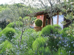 Property grounds - Oliveto Tignale by Interhome (Manerba)