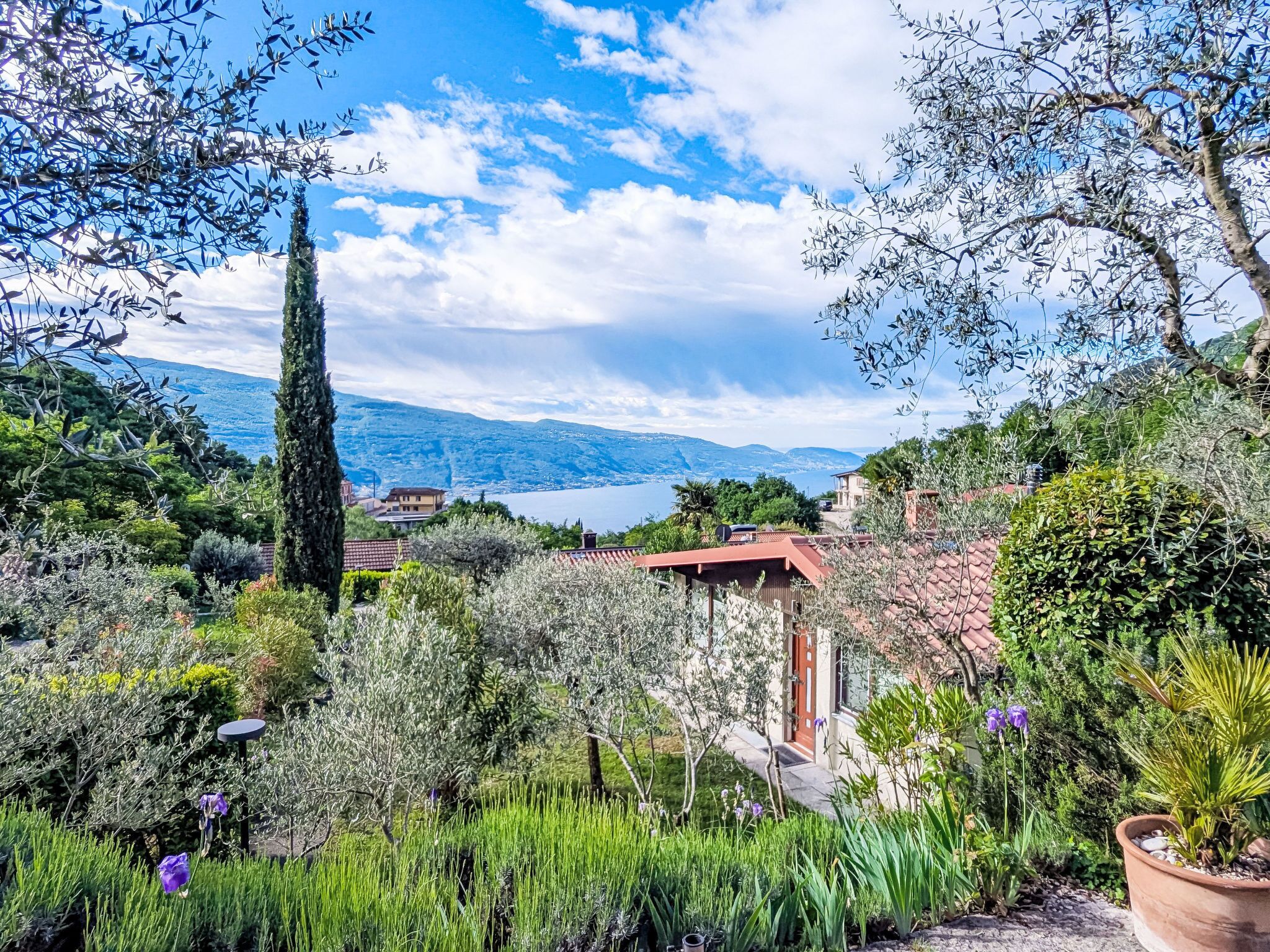Um jardim com diversas plantas e vista para um lago e montanhas.