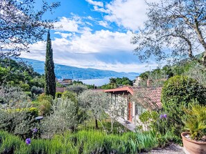 A garden with various plants and a view of a lake and mountains. - Oliveto Tignale by Interhome (Manerba)