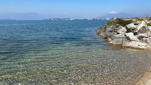 Ranta