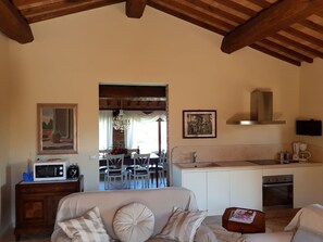 Kamin, DVD-Player