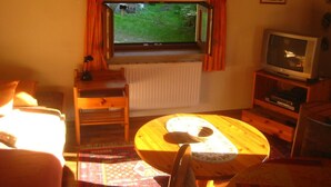 DVD-soitin