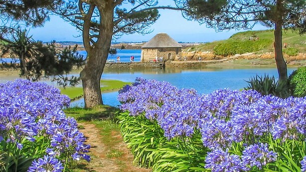 A coastal landscape with a stone building near a body of water, surrounded by a field of purple flowers. - House Raguenez 4.5 km from the sea - Near Paimpol (Pleumeur-Gautier)