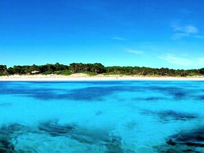 Playa