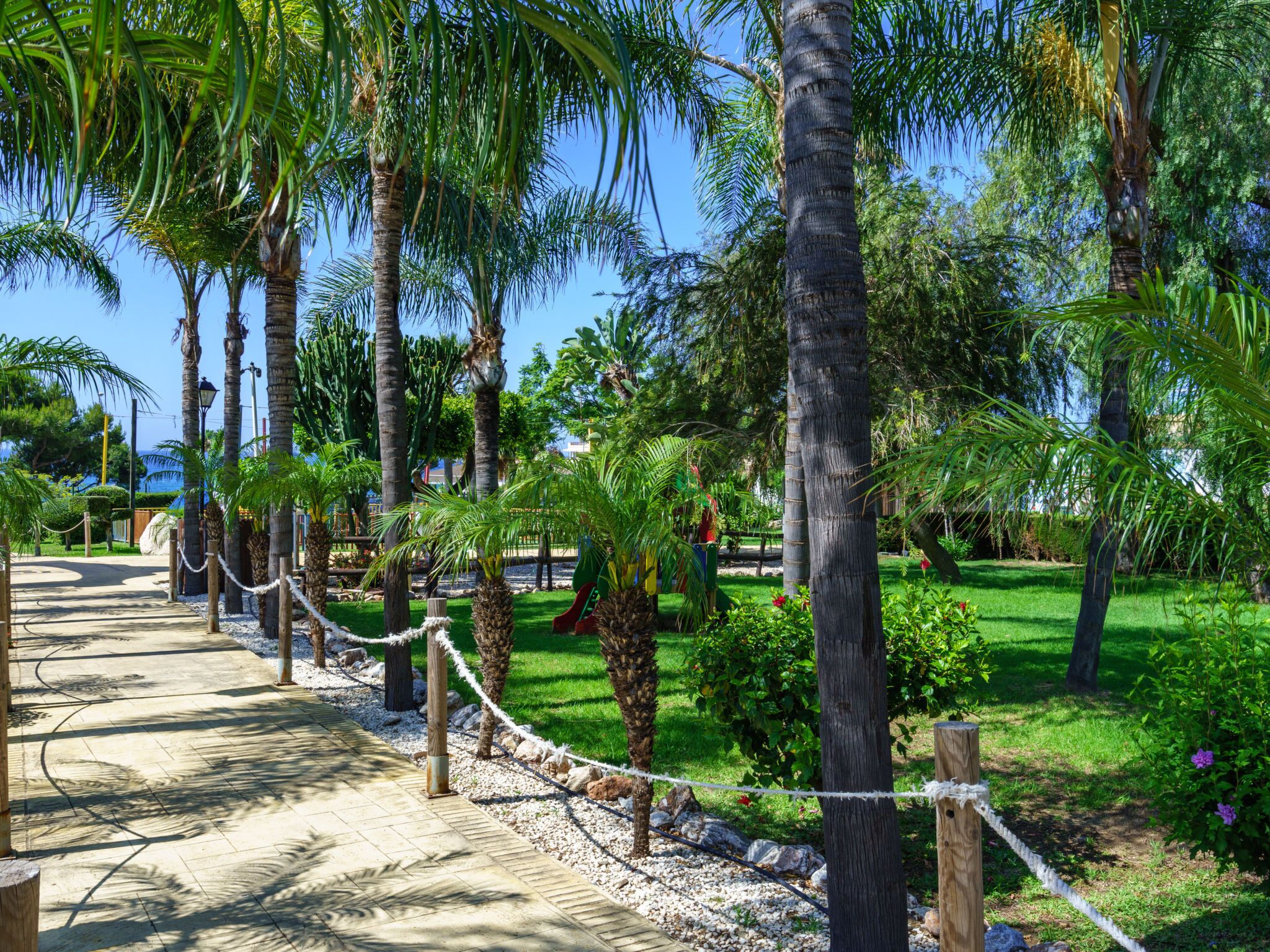 A pathway lined with palm trees and a playground, surrounded by lush greenery.