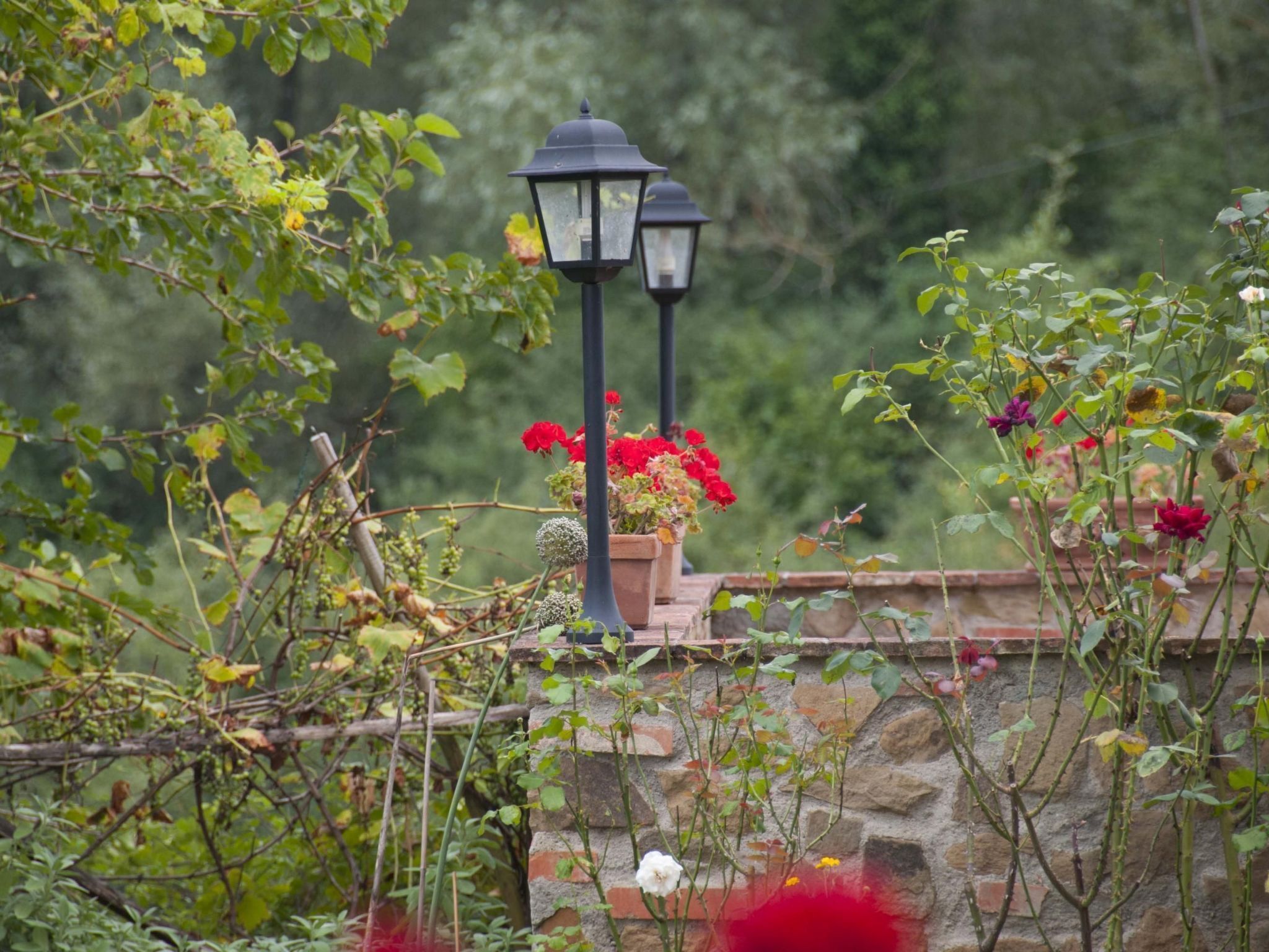 Parco della struttura