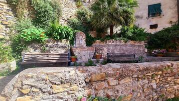 Àrea exterior de l'allotjament