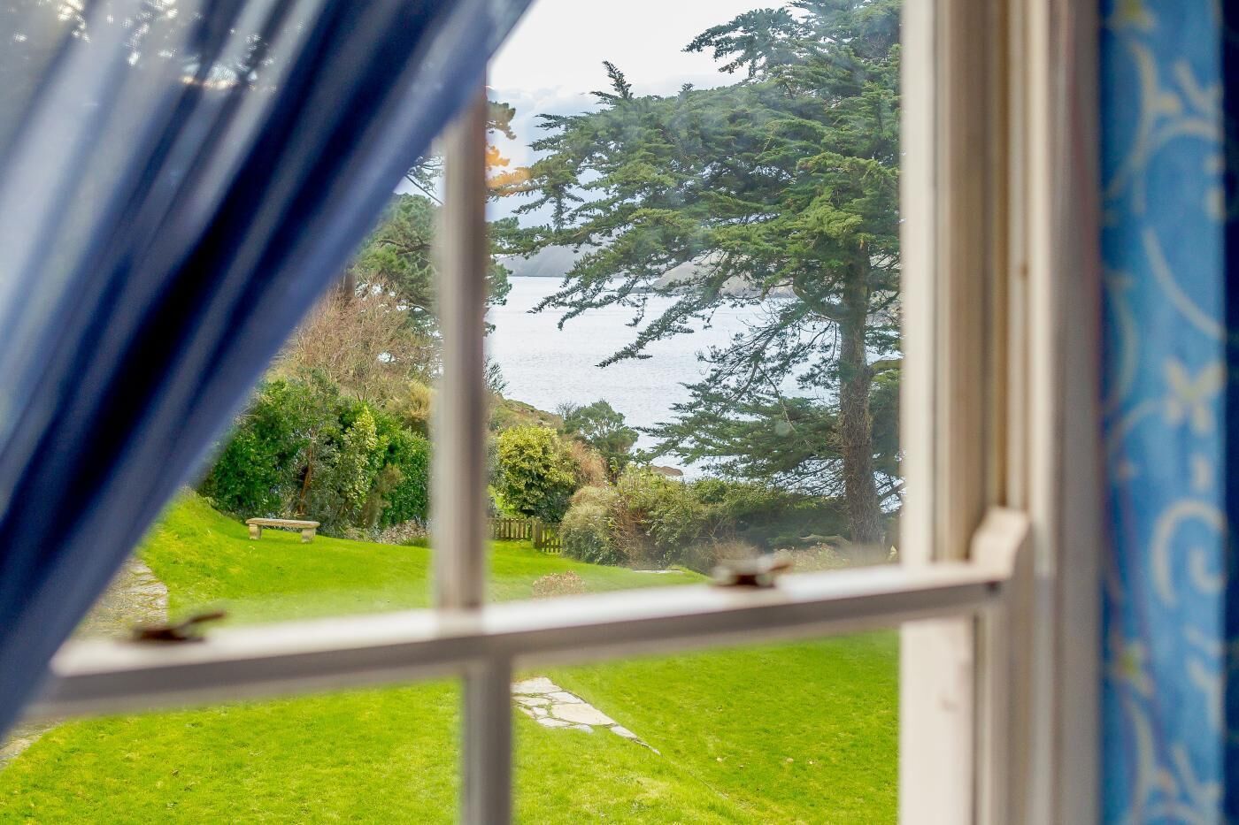 Une fenêtre donnant sur un jardin luxuriant et un grand arbre.