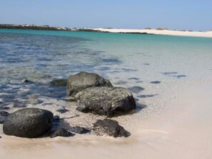 Beach - Appartement 'Oasis Royal 3 piscinas' by Interhome (Corralejo)