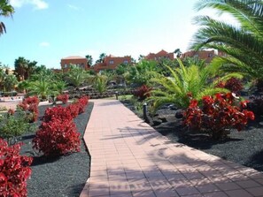 Property grounds - Appartement 'Oasis Royal 3 piscinas' by Interhome (Corralejo)