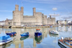 Un castillo histórico con un foso, rodeado por un puerto con diversos barcos.