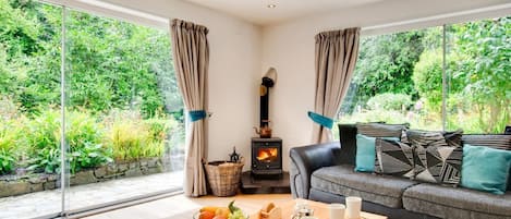 Televisión, chimenea