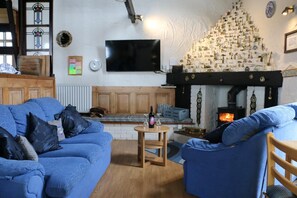 Fernseher, Kamin