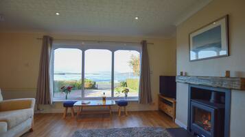 Smart TV, fireplace, DVD player, books