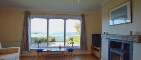 Smart TV, fireplace, DVD player, books