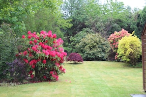 Property grounds - Seafront cottage with stunning panoramic sea views. Easy access to Oban. (Argyll & Bute)