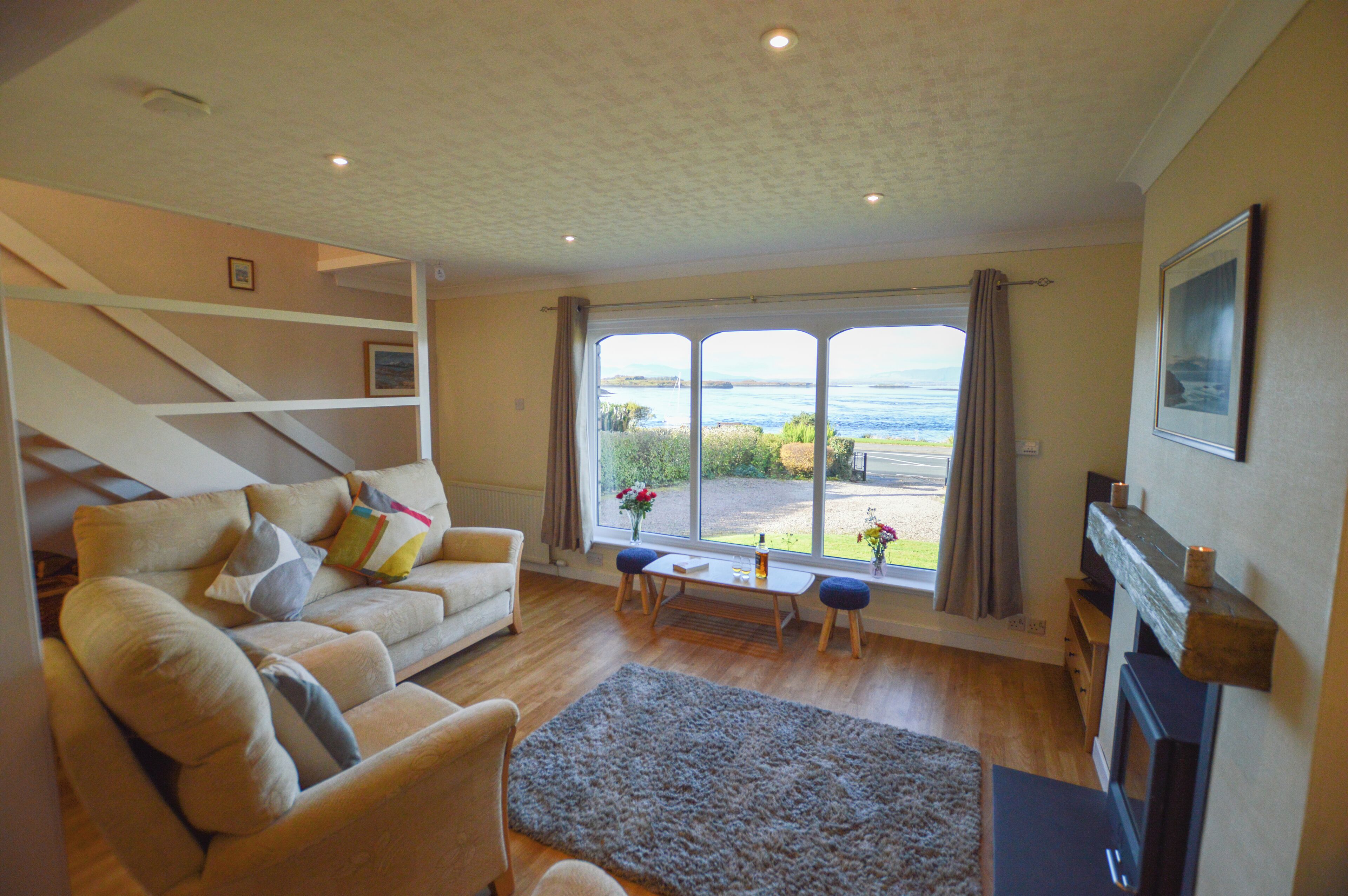 Smart TV, fireplace, DVD player, books