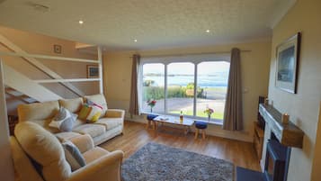 Smart TV, fireplace, DVD player, books