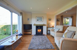 تلفزيون، مدفأة