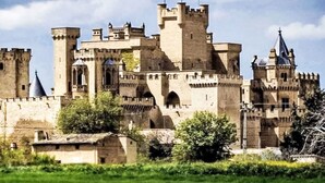 Eine große Burg mit mehreren Türmen und einer Flagge auf dem Dach.