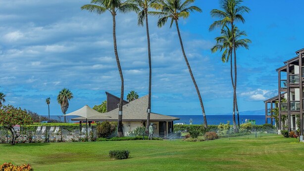 A modern building with a sloped roof, surrounded by a well-maintained lawn and tall palm trees.
