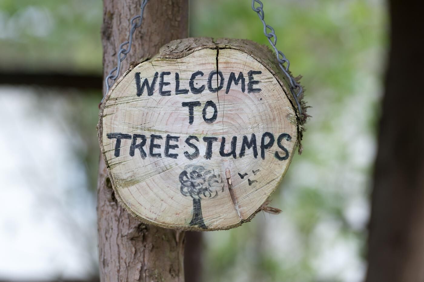 A wooden sign with the text "WELCOME TO TREESTUMPS" attached to a tree trunk.