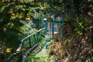 Property grounds - 3 Bed in Dinas (oc-lazyno) (Dinas)