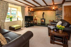 TV, fireplace - 2 Bed in Aberdaron (oc-413613) (Pwllheli)
