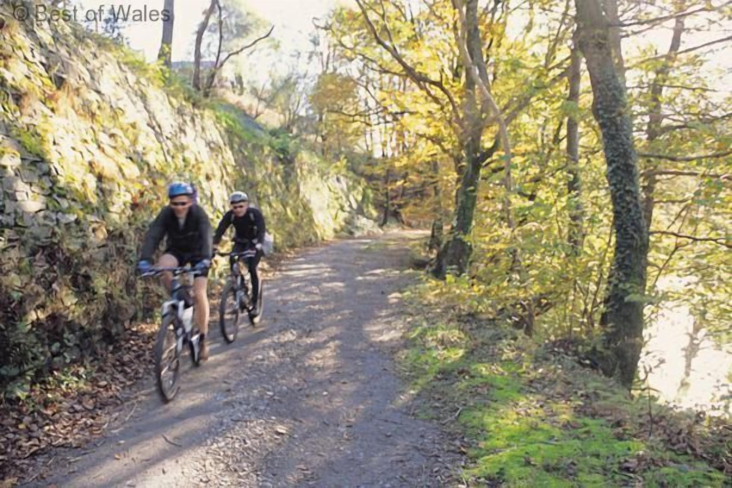 Dois ciclistas em um caminho estreito coberto de folhas, rodeado por árvores.