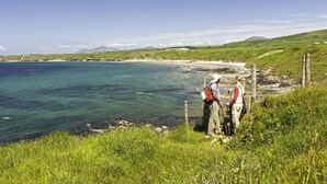 Ett kustlandskap med gräsbevuxen mark och fri utsikt över havet.