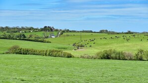 Un paysage rural avec des champs verdoyants, des arbres dispersés et quelques bâtiments visibles au loin.