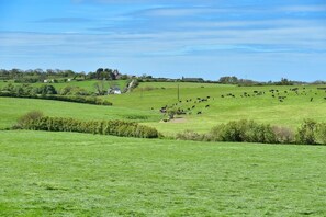 Un paysage rural avec des champs verdoyants, des arbres dispersés et quelques bâtiments visibles au loin.