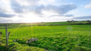 Un paysage rural avec un champ, une clôture et un bâtiment situé au loin.