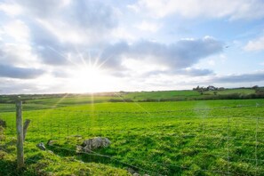 Un paysage rural avec un champ, une clôture et un bâtiment situé au loin.
