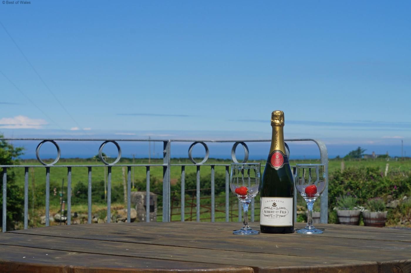 A bottle of champagne and two glasses on a wooden table with a metal railing in the background.