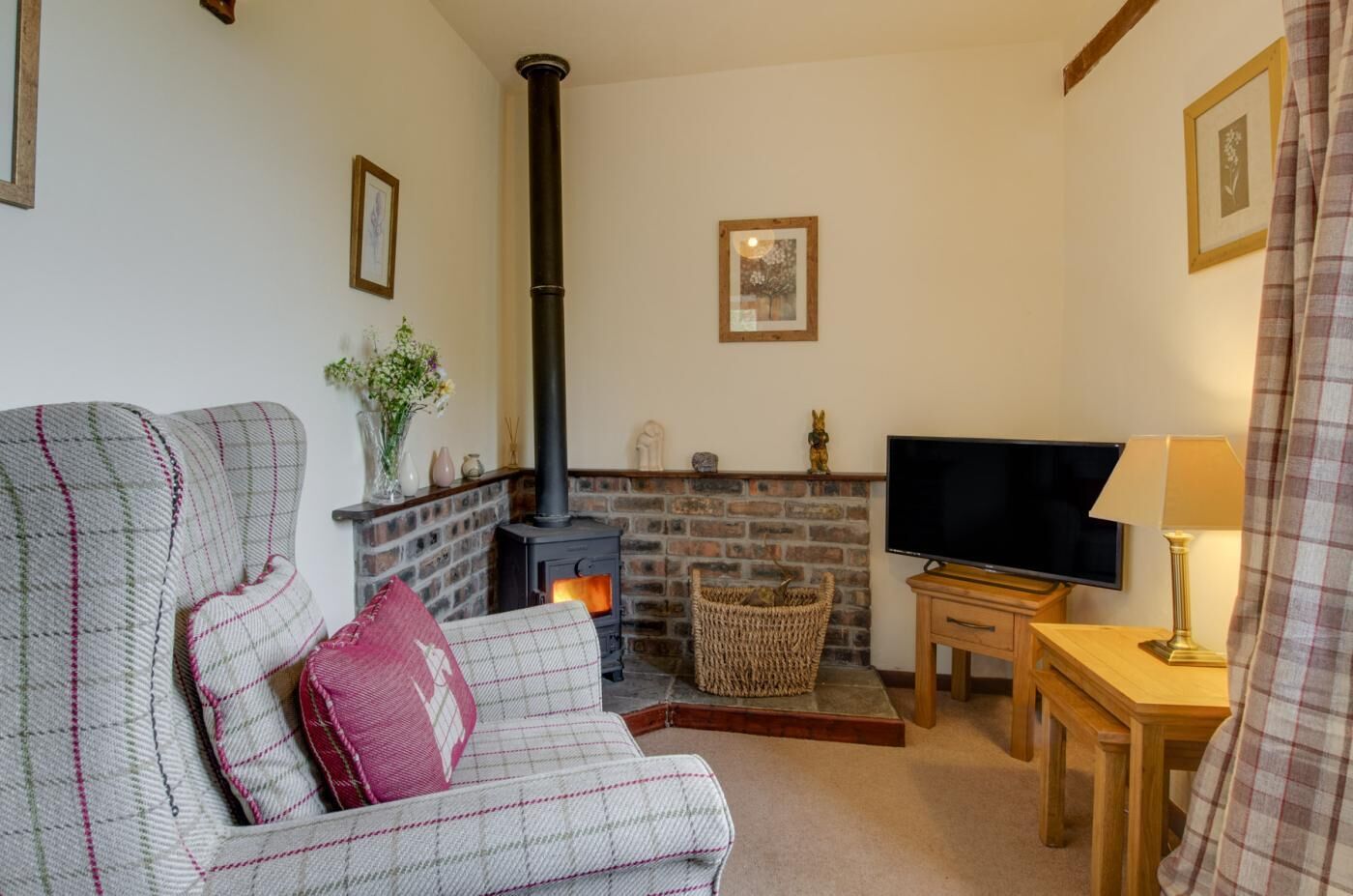 TV, fireplace