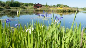 Een rustige omgeving aan een meer met een klein gebouw met rode dakpannen, weelderige begroeiing en een voorgrond van hoge grassen en blauwe bloemen.
