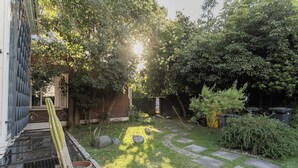 Een tuin met een cactus, stapstenen en een bakstenen muur.