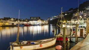 En havn om natten med fortøjede både, stille vand og bygninger i baggrunden.