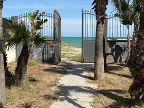 A pathway leading to a beach with a metal gate and palm trees.