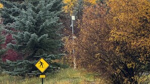 A road sign indicating a yield ahead, surrounded by trees with yellow and green foliage, and a snow-covered hill in the background. - Fantastic 6-bedroom house in Avon perfect for your next getaway. (Avon)