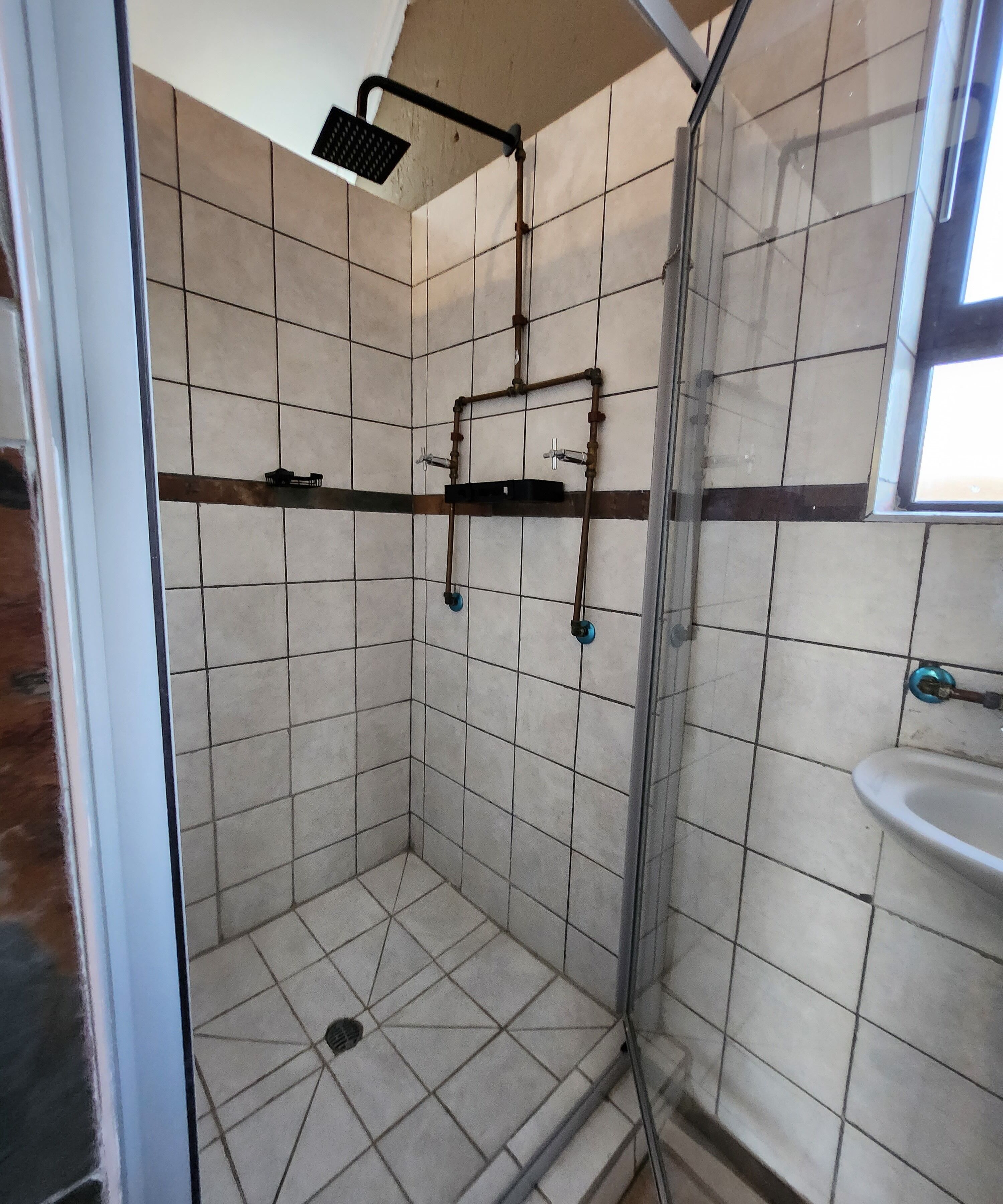 Een douche met tegels, een handdouche, een glazen deur en een wit wastafel.