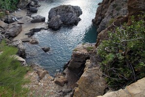 Luokittelematon kuva, 5 kautta 49, painike